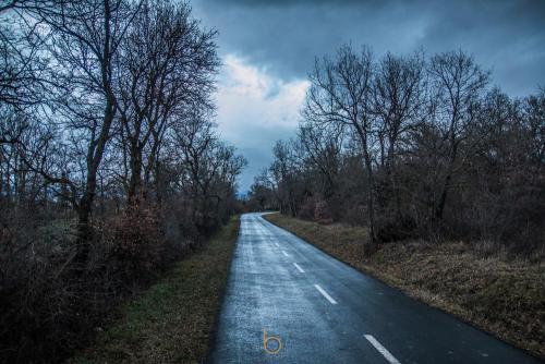 Fotografía otoñal por Borjatrivifoto